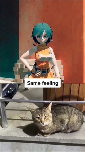 What does a chainsaw girl and cat have in common?