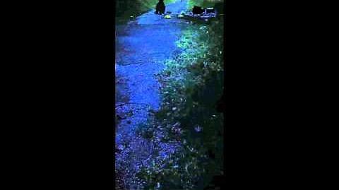 Bukit Timah Monkey Man Maid Footage