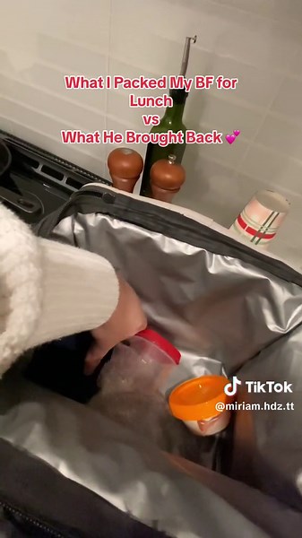 Review of Electric Heating Lunch Box from TikTok Shop