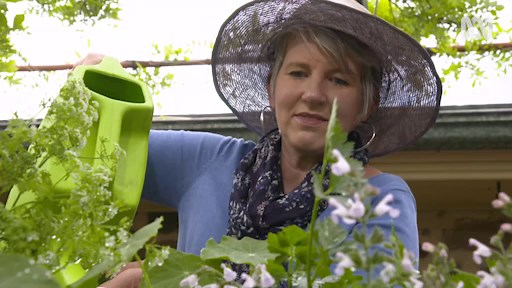Using Bore Water - Gardening Australia