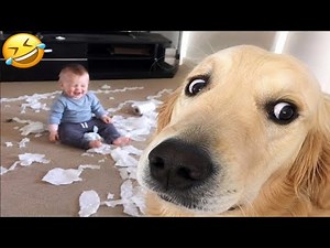 FUNNIEST DOGS OF 2026 😂 | Try Not To Laugh Dog Compilation