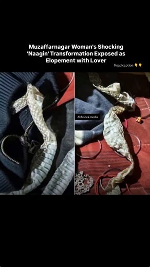 Abhishek Singh on Instagram: "A shocking incident in Uttar Pradesh's Muzaffarnagar district has left a family stunned. A woman went missing, leaving behind a snake skin on her bed, sparking fears she might be turning into a 'naagin'. However, police investigation revealed she eloped with her lover. The woman, a resident of Jansath, went missing on January 31. Her family searched for her everywhere but couldn't find her. They were shocked to find a snake skin on her bed, leading them to believe s