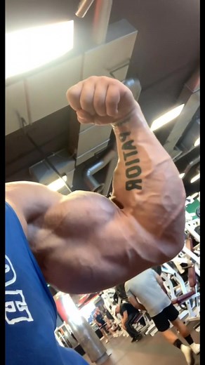 Pumped Up Armzzzzz: A Celebration of Strength