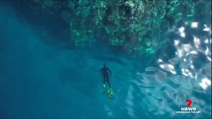 4.8K views · 54 reactions | A group of First Nations youths have graduated from a specialised reef conservation program, dedicated to protecting and monitoring coral ecosystems. The course also gives graduates the chance to put their new skills to use in different career paths. 7NEWS at 6pm. Download the 7NEWS app: 7news.link/7newsapp #7NEWS | 7NEWS Wide Bay | Facebook