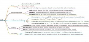 Resumen fallo Elliff