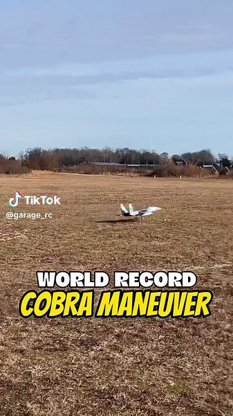 Amazing F-15 RC Plane with Incredible Maneuverability & Smooth Landing