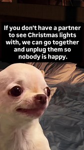 4.4K views · 8.9K reactions | 藍 The funniest Evil Dog official Meme page Follow or you won't find it again Grab merch in my bio evildogofficial.com | EvilDog Shamsy | Facebook