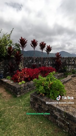 Discover Cinchona Botanical Gardens in Jamaica