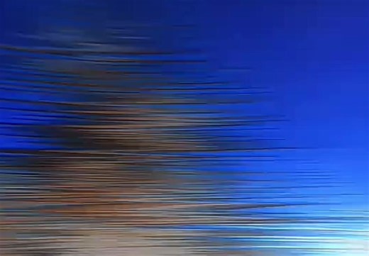 reptilian anvil (@cursed.energy01)’s videos with original sound - reptilian anvil