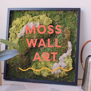 Hilton Carter, plant stylist, artist and author of Wild Creations, is here to teach us how to incorporate greenery into our decor 🌱✨ | HGTV Home