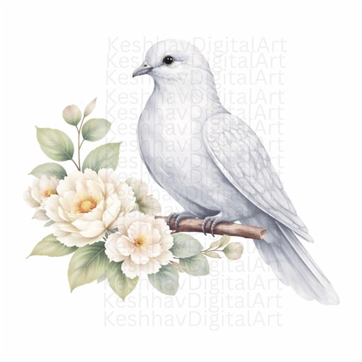 14 Dove Clipart Watercolor Painting, Floral Bird Clipart, Digital Download, Card Making Supply