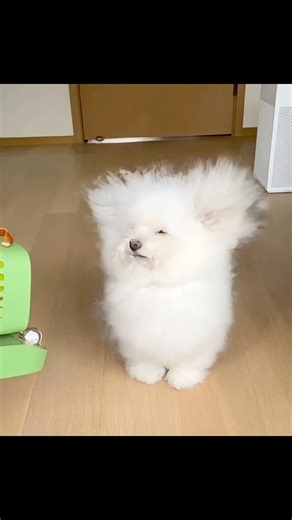 面白い画像をそのまま動かしてみた26 #おもしろ #エンタメ #ai