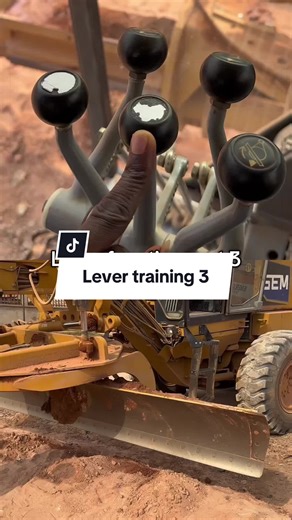 Grader Liver Function Part 3: Key Insights