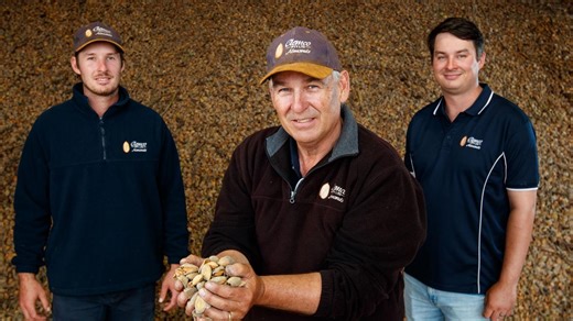 ‘Perfect storm’: How Aussie almonds are cracking the world