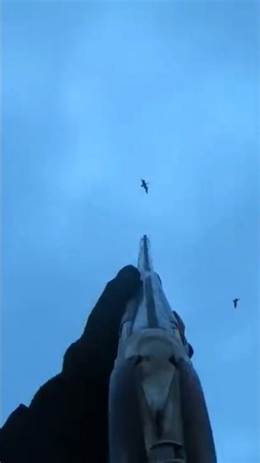 Snow geese hunting in USA #usa #shorts #youtubeshorts #season#snow#geese#hunting#birds#viralshorts