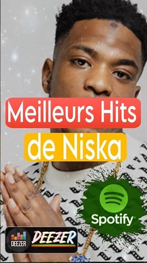 Les Meilleurs Hits de Niska
