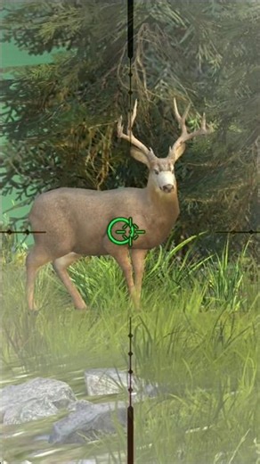 Deer hunting #wildhunting #hunting #huntingseason #youtubeshorts #shortfeed #shorts