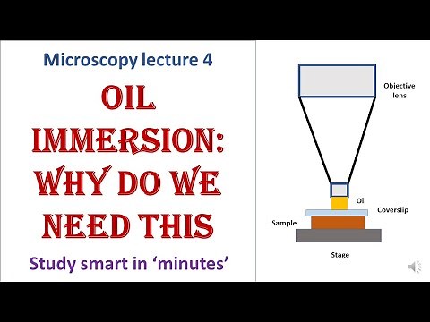 Oil immersion microscopy | Importance of immersion oil in microscope | Microscopy lecture 4