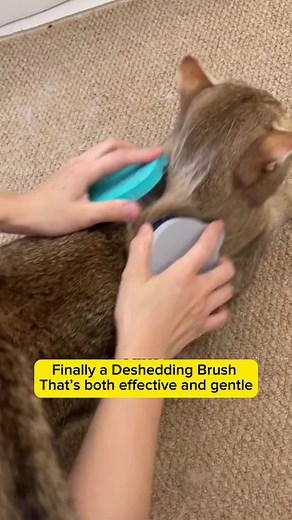 Cat Lovers Boutique on TikTok