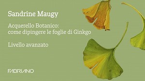 25 reactions | Botanical watercolour: how to paint Ginkgo leaves with...