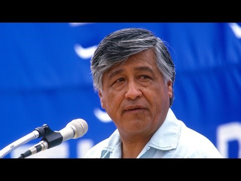 Nombran Día del Trabajador Agrícola la fecha que celebraba a César Chávez | Noticias Telemundo