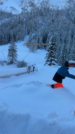 Austrian Life ⛰️ on Instagram: "📍🇦🇹Gosausee #view #mountain #austria #nature #capture #snow #fyp #outdoors #life #lifestyle #beautiful"