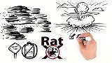 Reviews for ECOCLEAR PRODUCTS RatX 1 lb. Rodent Control Animal Bait | Pg 1 - The Home Depot