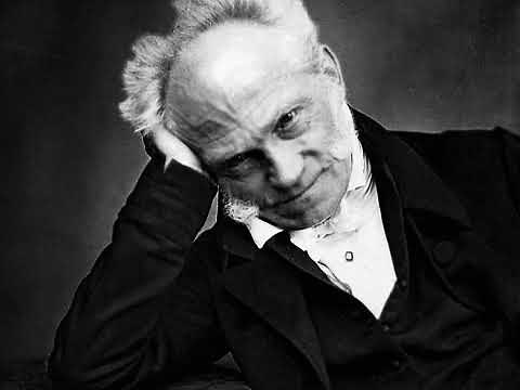 Schopenhauer On the Vanity & Suffering of Life