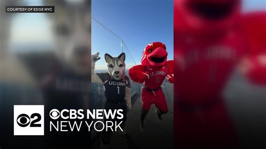 St. John's, UConn mascots go head-to-head at The Edge at Hudson Yards