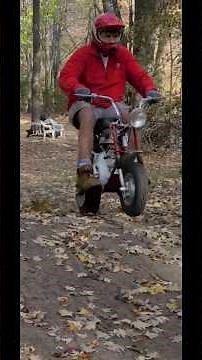 ALERT! Mini Bike Makeover: Restoring a minibike Rebuild #minibike #trending #pitbike