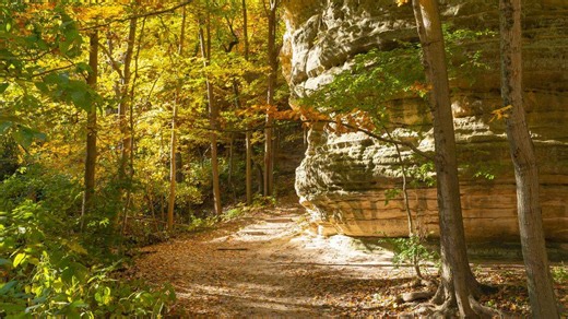 3 Illinois state parks named among best in the US for 2025. One made the top 10