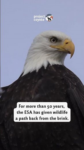 Endangered Species Day
