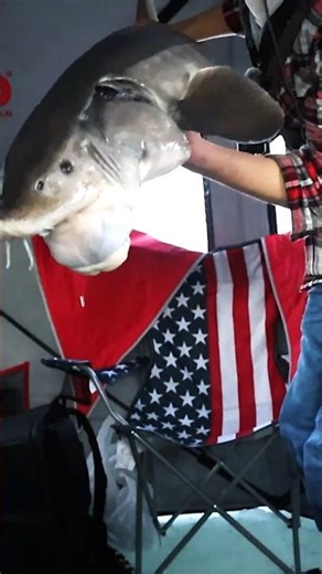 I Cannot Move This Fish #icefishing #fishing #fish