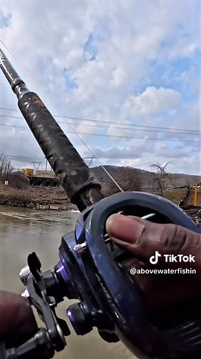 Using Trash Fish to Catch Treasure Fish