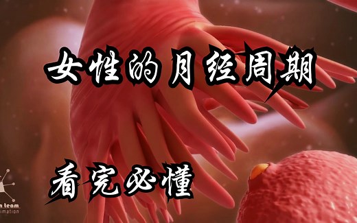女性的月经周期，看完必懂