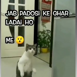 Mr.sarkar.ji on Reels | Facebook