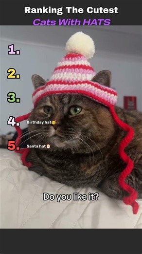 Ranking The Cutest Cats With Hats! #funny #cat #adorable