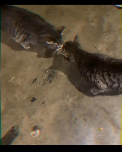 The real Sonic #sonic #edit #youtubeshorts #metalsonic #shorts