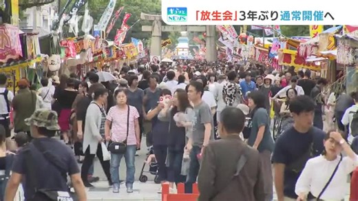 博多の三大祭りの一つ、筥崎宮の「放生会（ほうじょうや）」が、３年ぶりに通常通りに開催されることが決まりました。#福岡 #福岡ニュース#tiktokでニュース