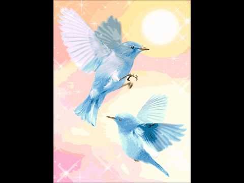 青い鳥(アルト)