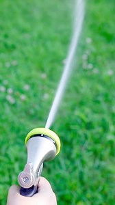 You have questions, we have the answers! Comment your biggest lawn-care questions. | Scotts Lawn Care