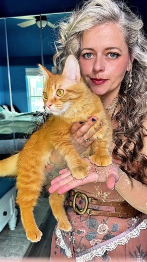 Lace and Kitties: Vintage Outfit Inspiration