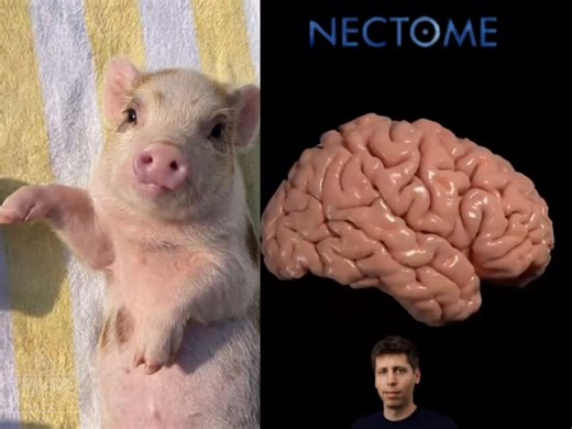 たとえ身体が滅んでも、脳を物理的に生かす技術が確立され、今のエゴが身体が滅んだあとも存続することが出来たとしても、それは、個という二元性の牢獄に閉じ込められた地獄が続くだけである。生じたものは滅びるのが定め。それらを物理的に宇宙が存続する間永続的に存続させられたとしても、宇宙自体が永遠不滅なものではなく、今の宇宙も何れは滅び無に帰す。そして新しい宇宙が創造されるのだが、その時には、過去の二元性のままにいたものは、復活することもなく、前の宇宙が滅びるとともに滅びることになる。一切法無我。一切行無常。一切皆苦。結局この物質世界に実体のあるものは何一つなく、永遠不滅なものは何一つない。そして何時かは滅びる苦しみでしかないのですよ。大体、こんなグロテスクな方法で今のエゴを存続するより、まだゴールに辿り着いていなくても、我々は業に従って輪廻転生していると知れば、今生で悪業は出来るだけ為さず、来生に人生やり直す方が１００倍ましだと思うんですがね。因みに永遠の命とは、二元性の中にあるのではなく、二元性を束ねて一つにする、一元の中にあるのですよ。二つに観えても、存在しているのは、彼、唯一人だけですから