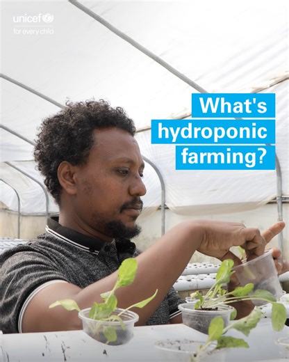 What’s hydroponic farming and what has it got to do with children? 💧🥬👦 Find out through an innovative project in Ethiopia. | UNICEF