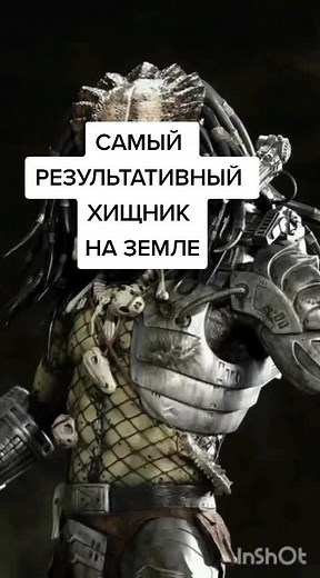 #siberia #phototursiberian #travelblogger #vasiliybogdan #hiking #animals