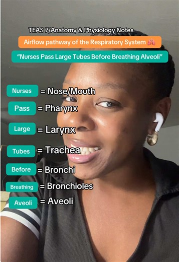 Easy, exact order of airflow in Respiratory System 🫁 Study these notes for TEAS 7/Anatomy & Physiology! #prenursing #nursetok #anatomyandphysiology #respiratory #nursingstudents