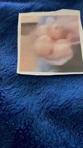 Sesame Street The Count Is An Elevator Operator Backwards Floor