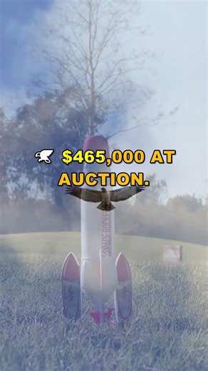 This Falcon Costs More Than A House