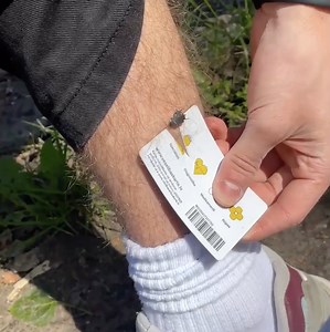 1.5M views · 1.4K reactions | Much Needed Hacks for Your Next Camping Trips | Wood Mood | Facebook