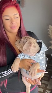 Dezigner Doggoz for the fendi jackets for your doggos 😍😍 | LilzBullz American Bullies Marbella